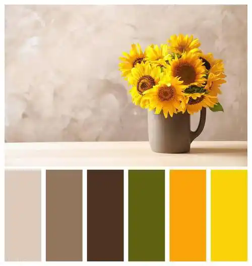 武漢網(wǎng)站建設(shè)中色彩搭配的具體技巧有哪些？